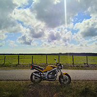 Avatar de l’utilisateur