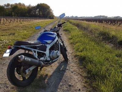 100581752_1612302018928132_3871255238807650304_n (1).jpg